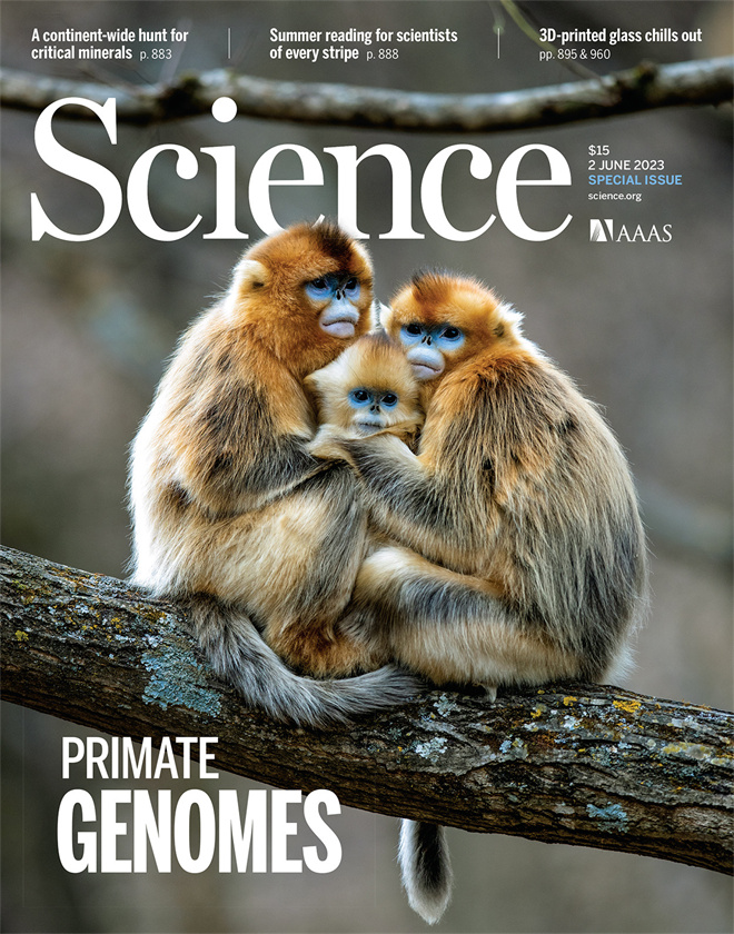 Science封面文章:乐动官方网站金丝猴研究团队首次系统揭示灵长类社会演化之谜_fororder_《自然》封面.JPG