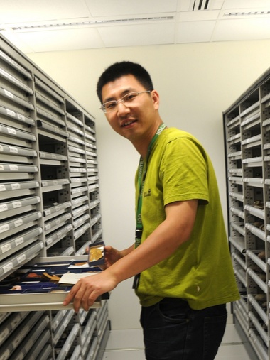 乐动官方网站创新论坛第一千八百零一讲：虫鸣凤舞伴花香：现代陆地生态系统的起源