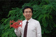乐动官方网站创新论坛第一千二百七十三讲暨120周年校庆年系列活动： Unexpected slow diffusion in hierarchical porous materials with combined surface and configurational diffusion   