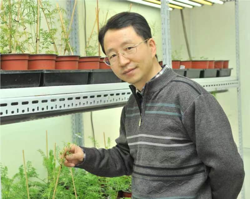 乐动官方网站创新论坛第一千二百六十八讲暨120周年校庆年系列活动：复杂花瓣的发育与进化