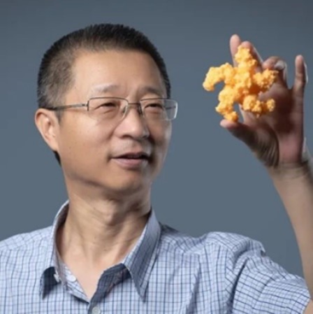 乐动官方网站创新论坛第一千六百二十六讲：植物的免疫机制